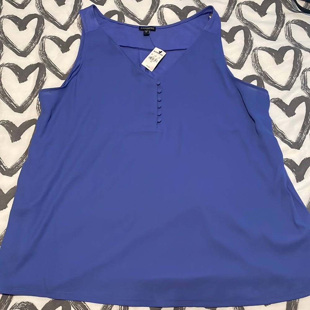 Express Periwinkle Blouse